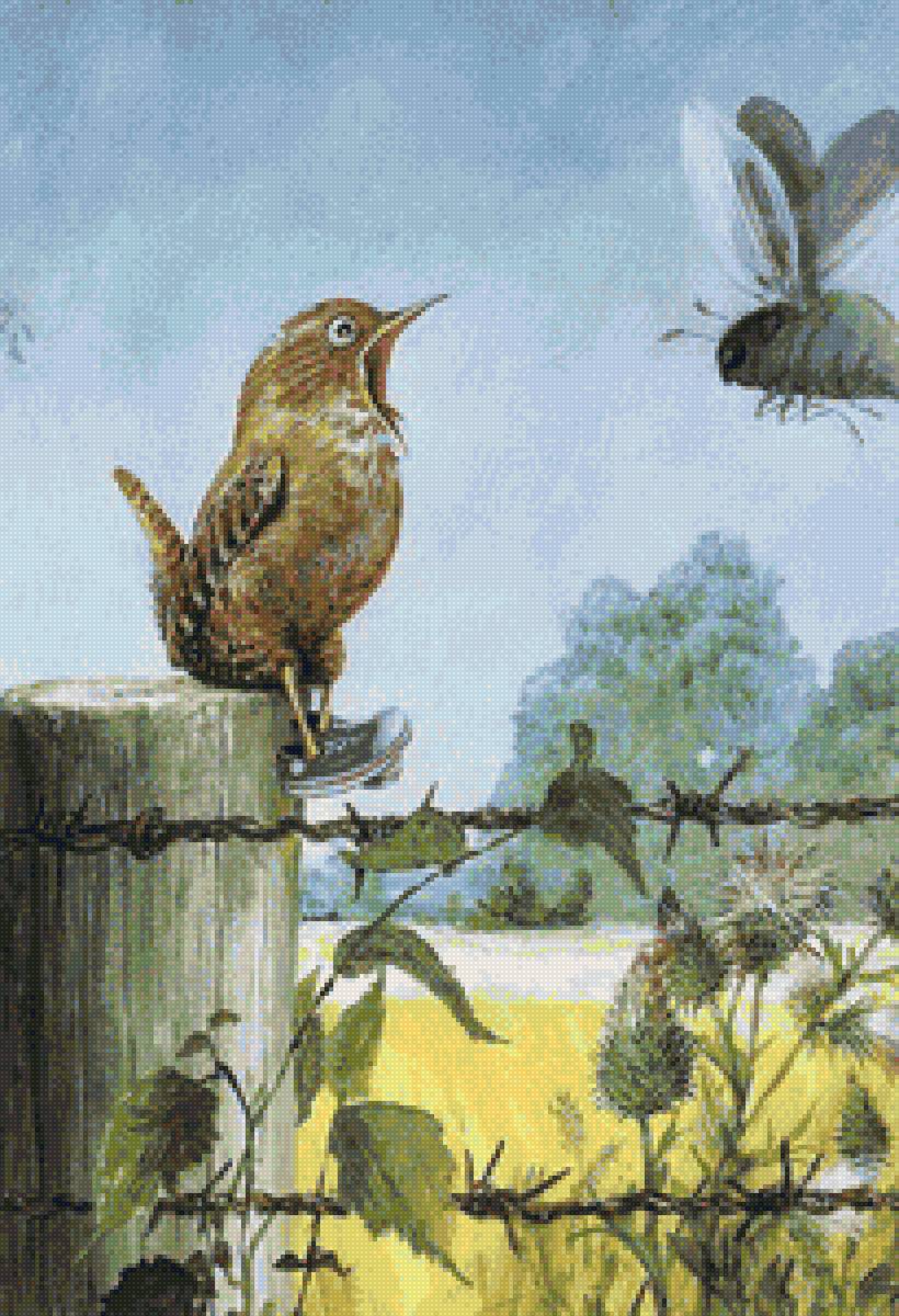 Детская тема - муха, птенец, лето - предпросмотр