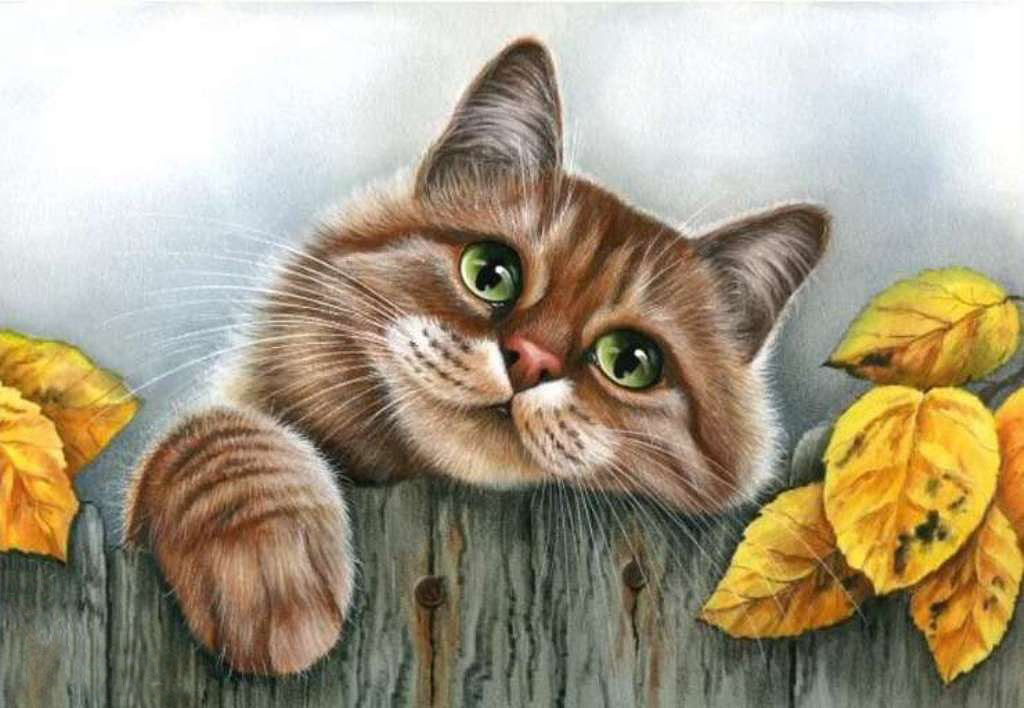 Любопытство - кот, листья, кошка, забор - оригинал