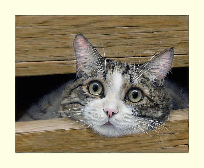 №2062974 - коты, животные - оригинал