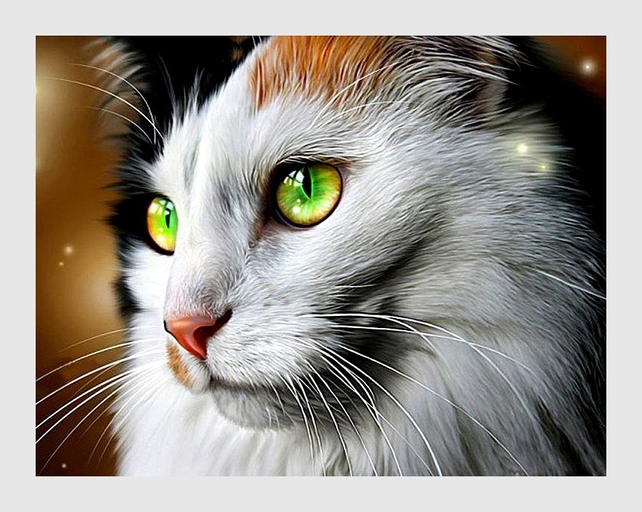 №2062975 - коты, животные - оригинал