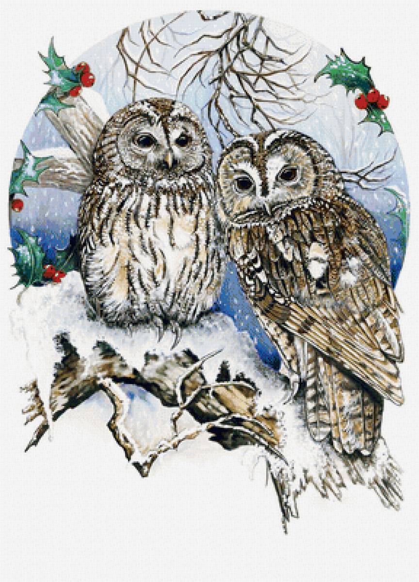 №2062997 - совы, птицы, животные - предпросмотр