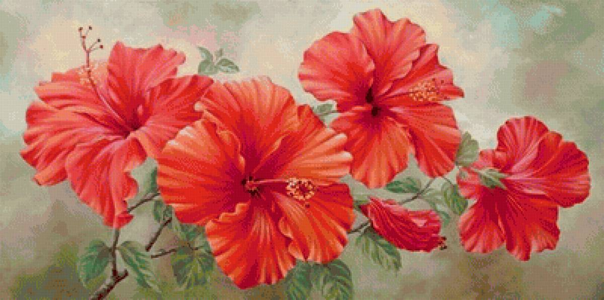 цветы - предпросмотр