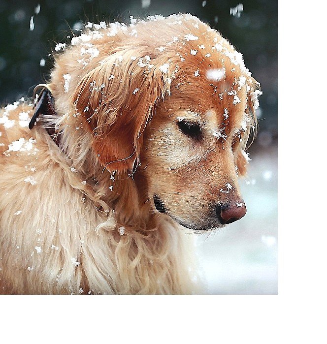 №2063773 - оригинал