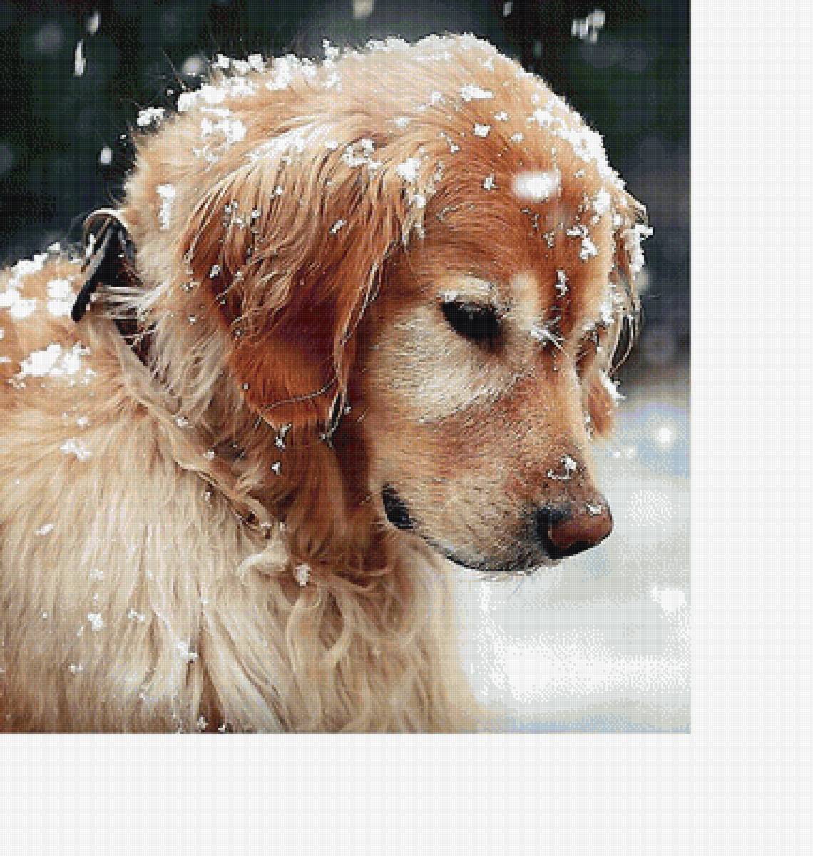 №2063773 - предпросмотр