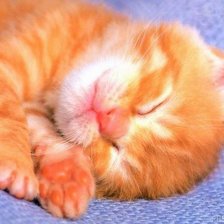 Схема вышивки «№2063867»