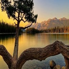 Схема вышивки «№2063927»