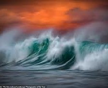 Схема вышивки «№2063942»