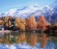 Схема вышивки «№2063944»