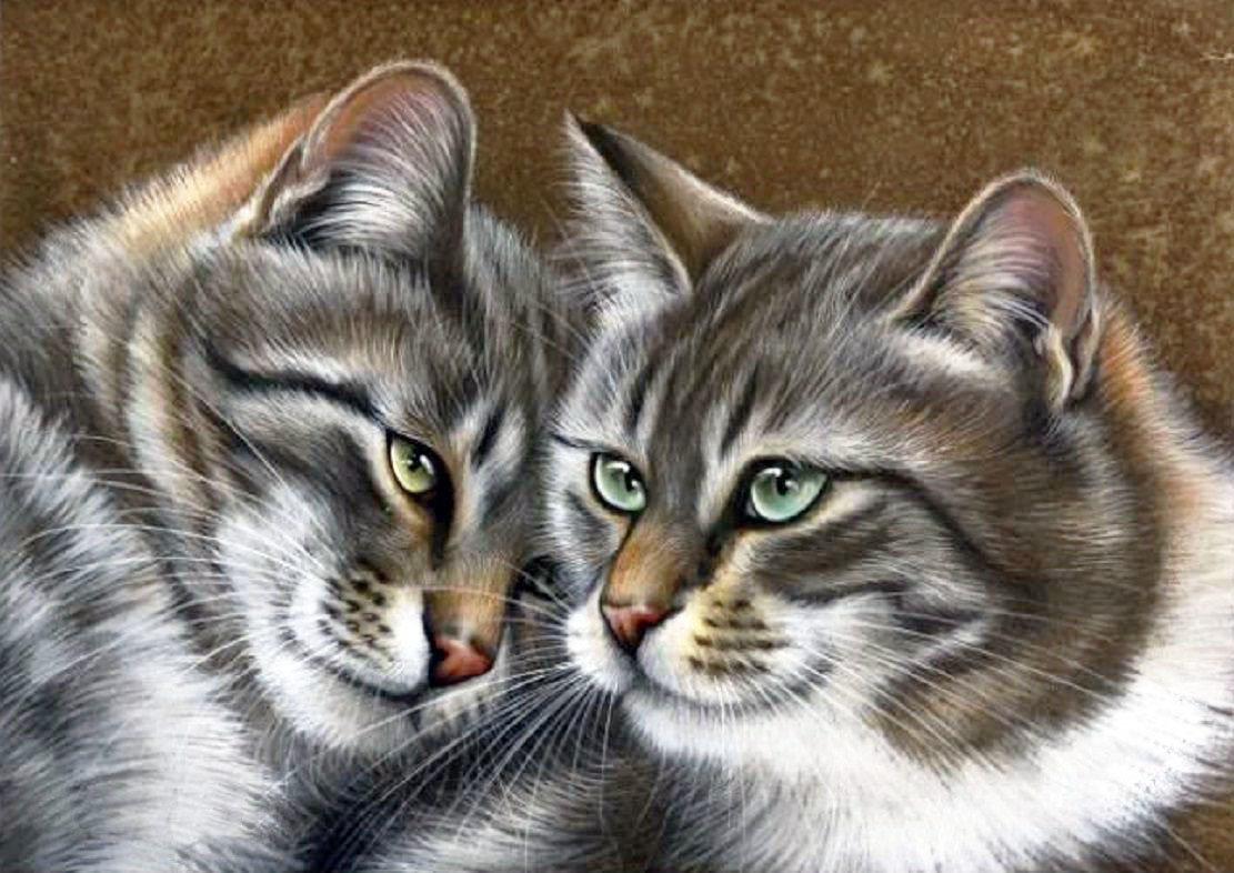 Одна масть - кошка, кот - оригинал