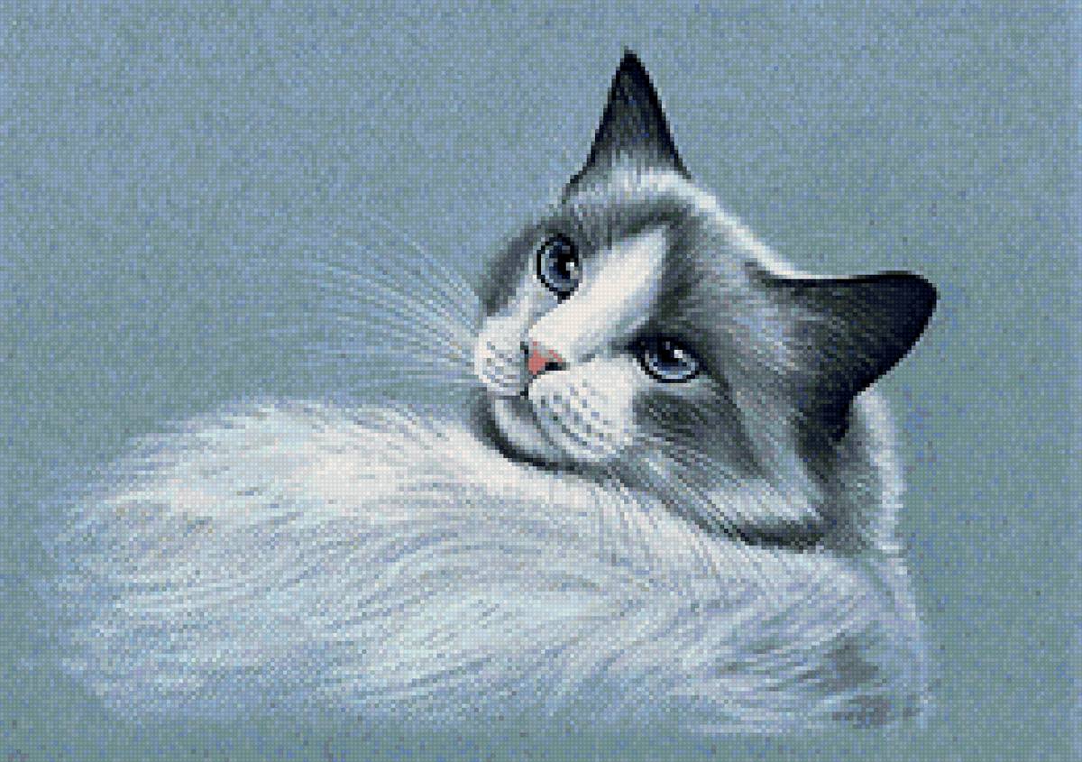 №2064032 - кошка, портрет - предпросмотр