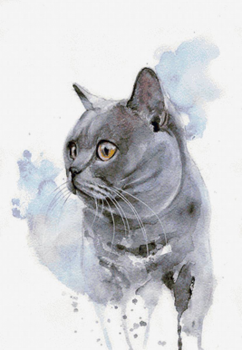 Британский кот - кот, акварель, британец - предпросмотр
