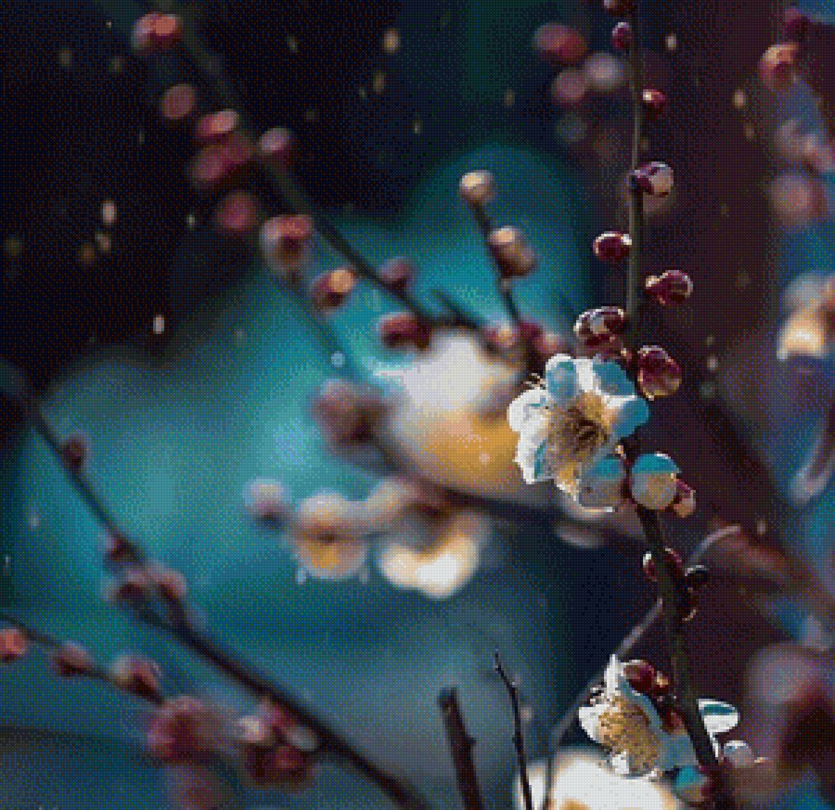 Сумерки - предпросмотр