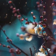 Схема вышивки «Сумерки»