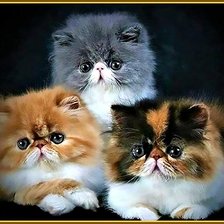 Схема вышивки «Малыши»