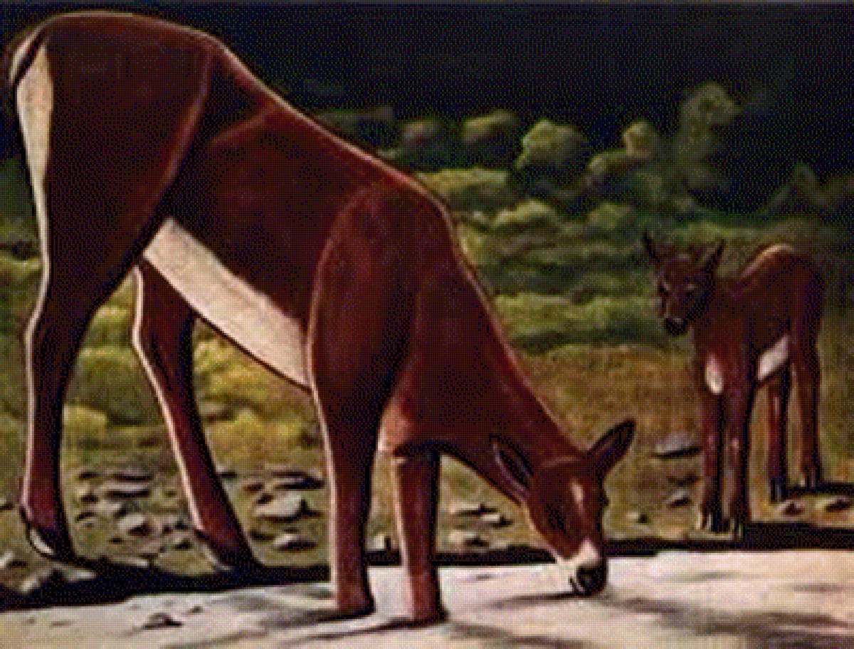 №2064214 - предпросмотр