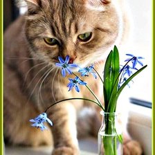 Схема вышивки «Весной пахнет»