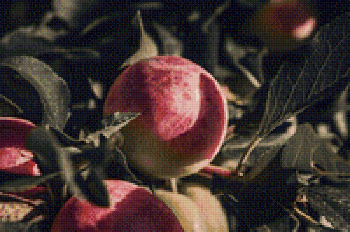 Apples - a - предпросмотр