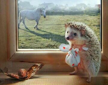 Ежик - лошадь, улитка, ежик - оригинал