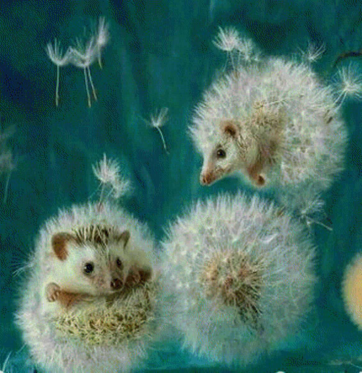 Ежики - одуванчики, ежики - предпросмотр