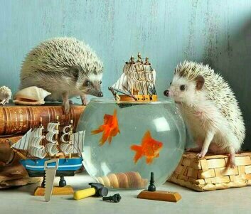 Ежики - рыбки, кораблик, ежик - оригинал