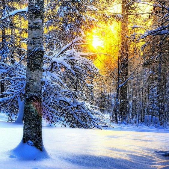 пейзаж - оригинал