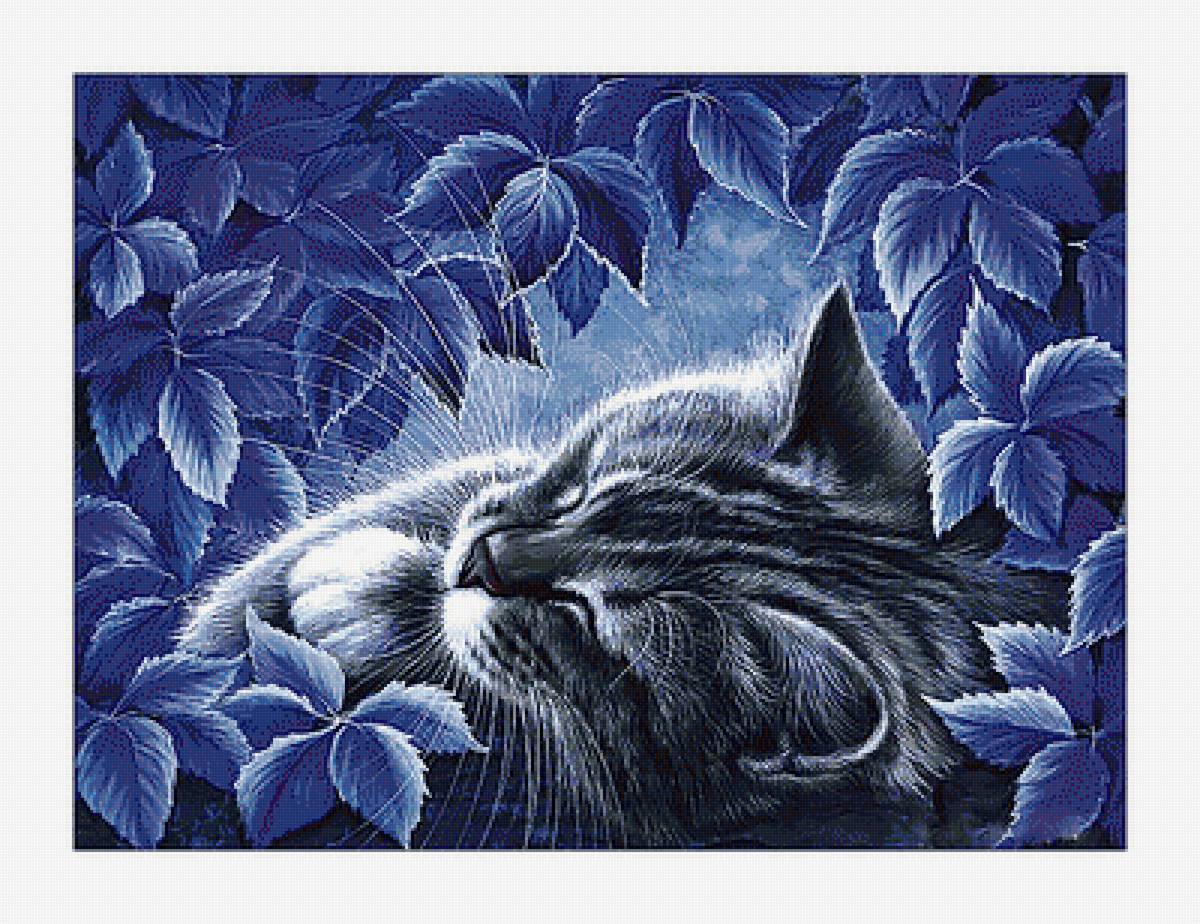 Котейка. - кот, кошка, сон - предпросмотр