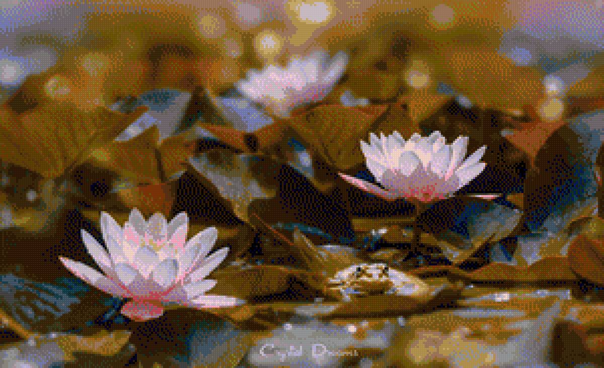 Лилии  розовые. - цветы.лилии на воде. - предпросмотр