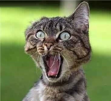 №2064787 - оригинал