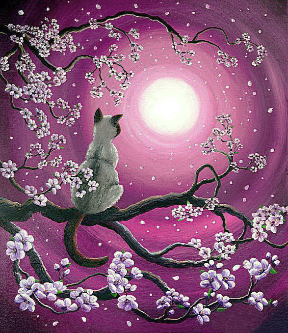 Магия луны-1 - ночь, кот, полнолуние, кошка, весна, сакура - оригинал