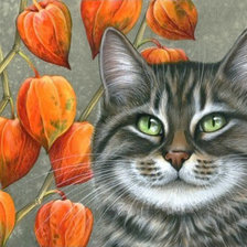 Схема вышивки «Котик и физалис»