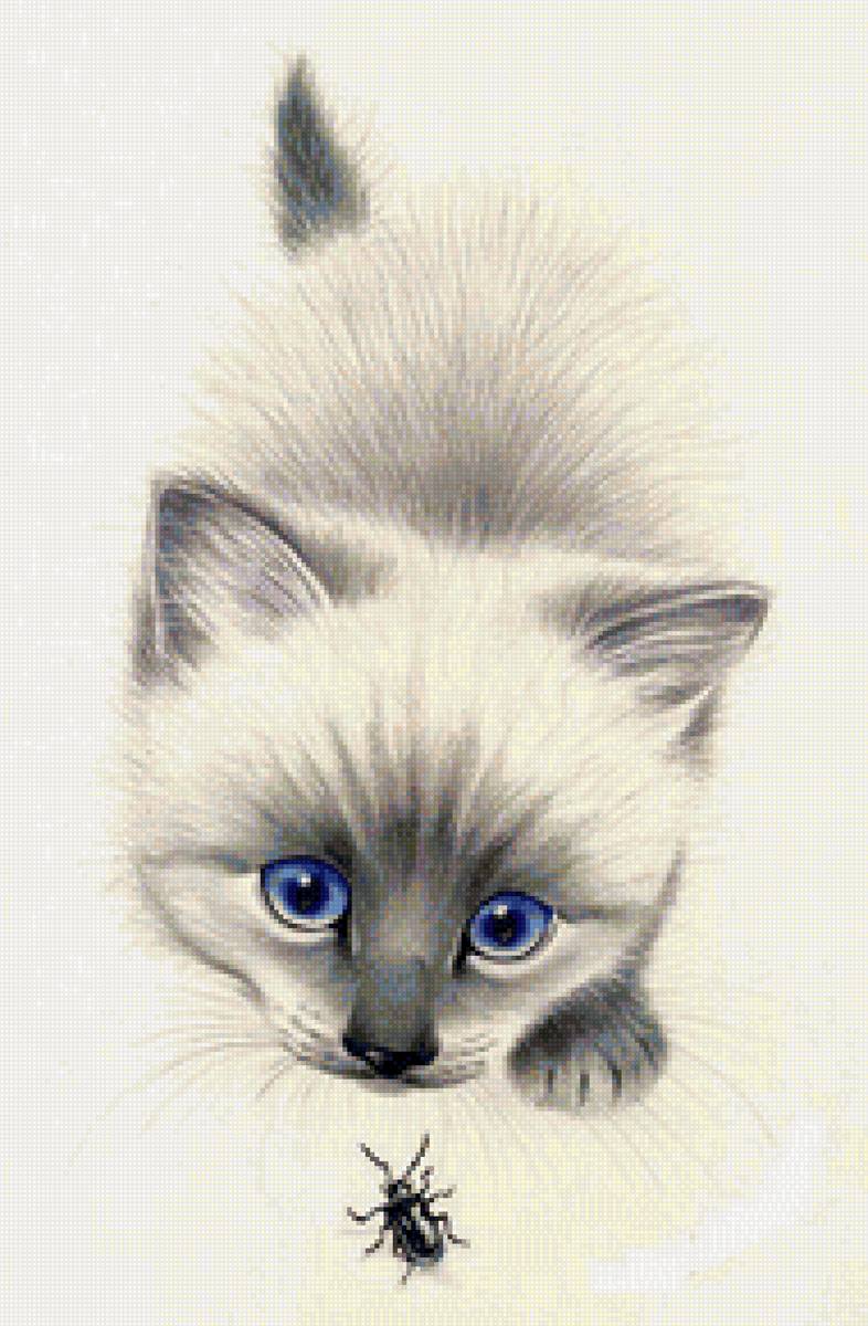 Нарисовать сиамскую кошку