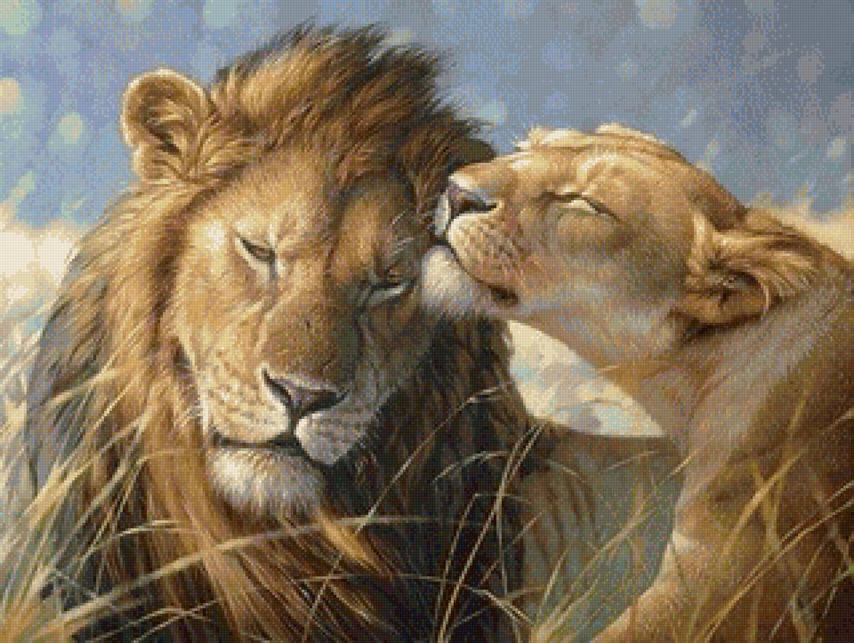 Львиная нежность - львица, лев, животные, лето, львы - предпросмотр