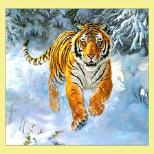 Амурский тигр в зимнем лесу.