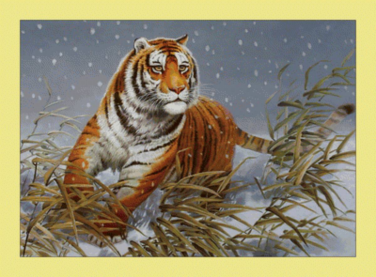 Тигр. - животные, хищник, снег, тигр, зима, живопись, взгляд - предпросмотр