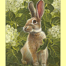 Схема вышивки «Зайка.»