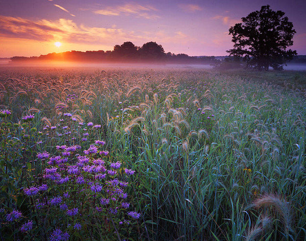 №2065255 - оригинал