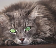 Схема вышивки «№2065298»