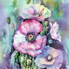 Схема вышивки «маки акварель»