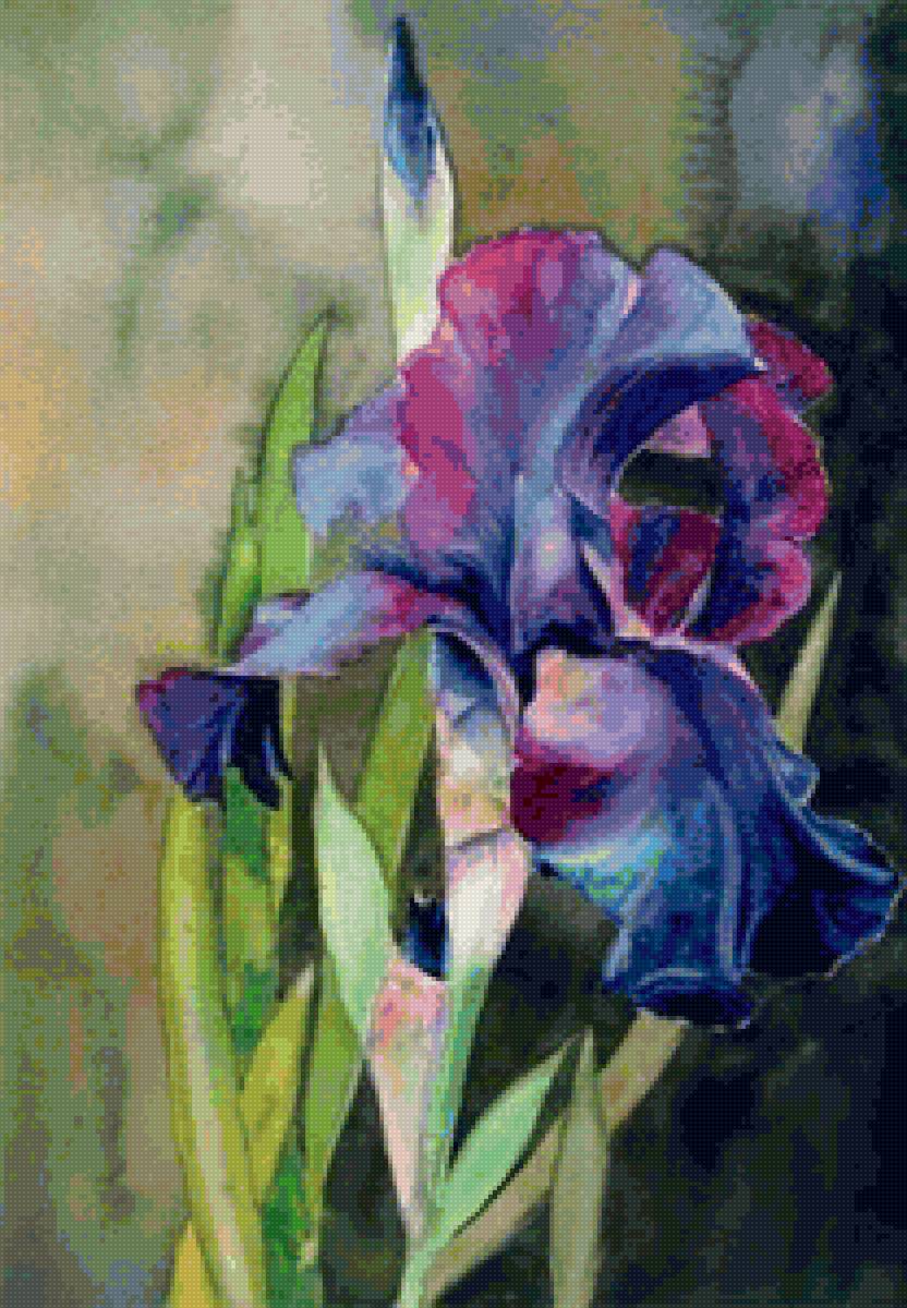 ирис - цветы, букет, ирис, ирисы - предпросмотр