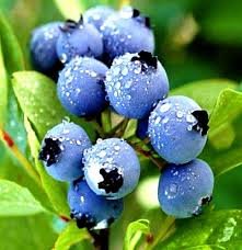 №2065384 - оригинал