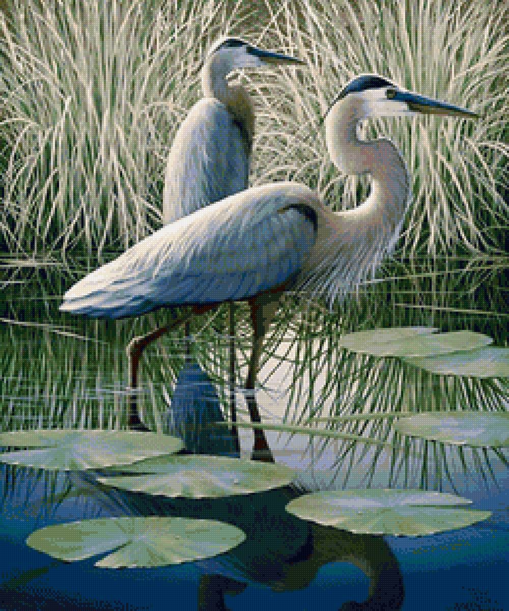 Худ. Бeн Массенбург - аисты, лето, озеро - предпросмотр