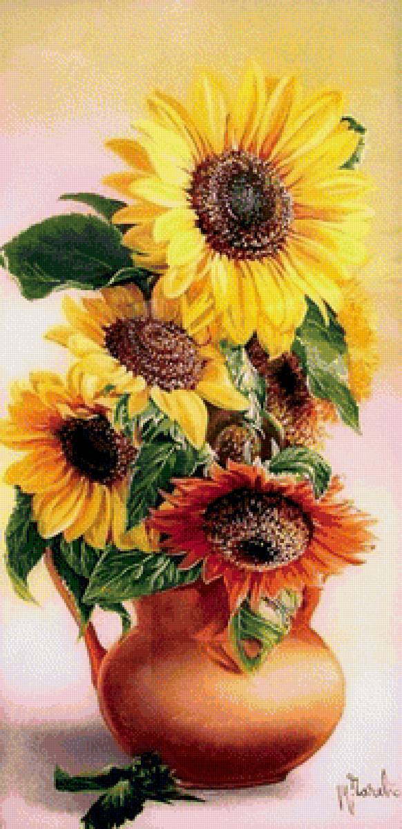 slnecnice - предпросмотр