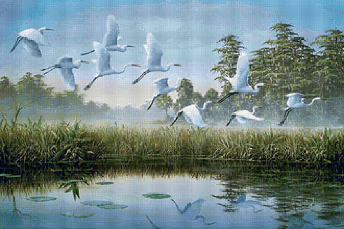 №2065421 - предпросмотр