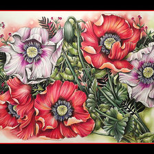 Схема вышивки «Маки.»