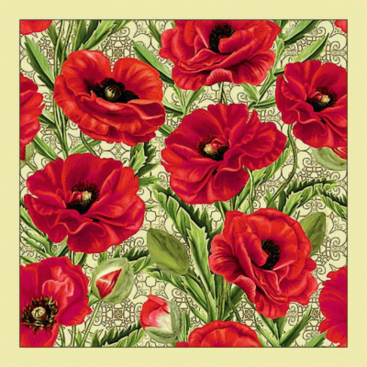 Маки. - цветы, маки, живопись - предпросмотр