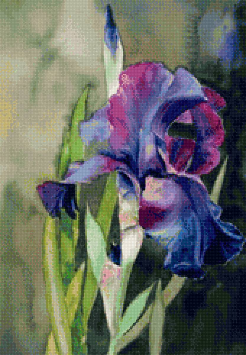 Ирис - предпросмотр