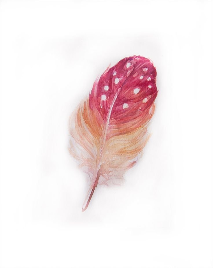 Перо - перо, перышко - оригинал