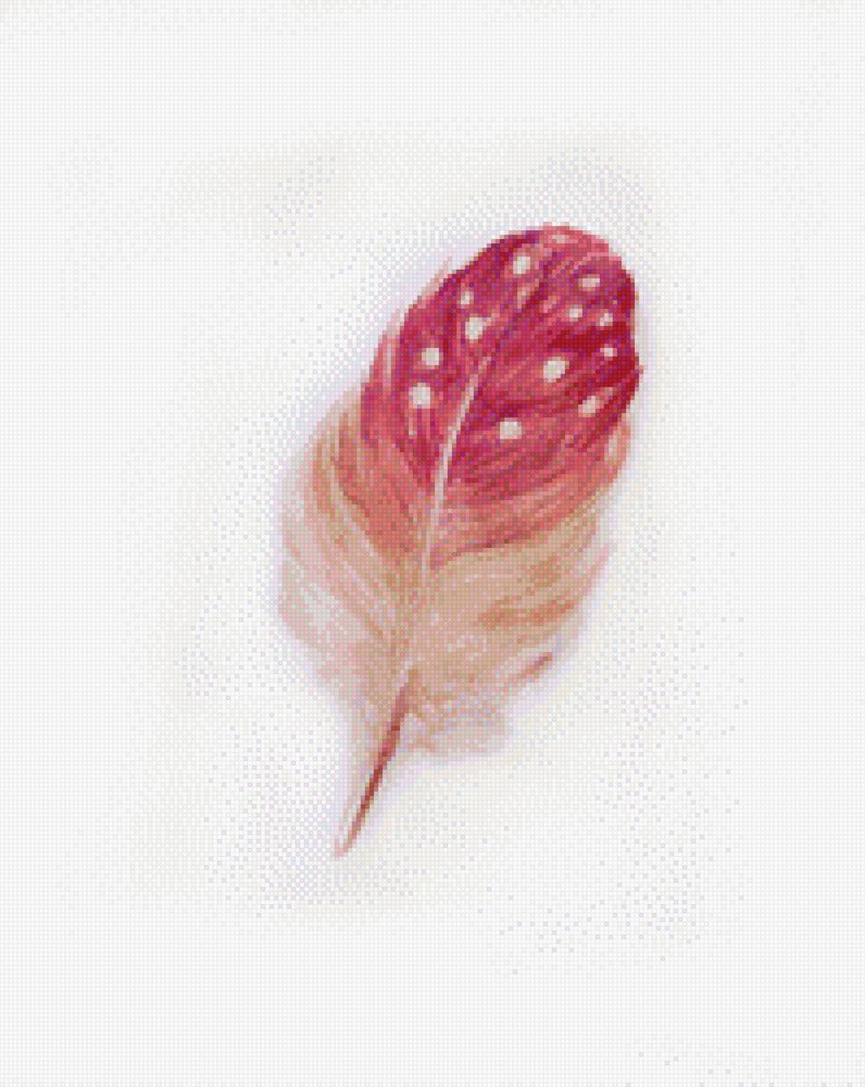 Перо - перо, перышко - предпросмотр