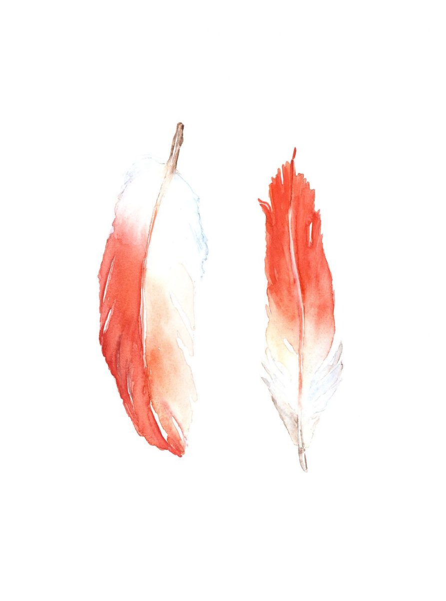 Перья - перышки, перья - оригинал