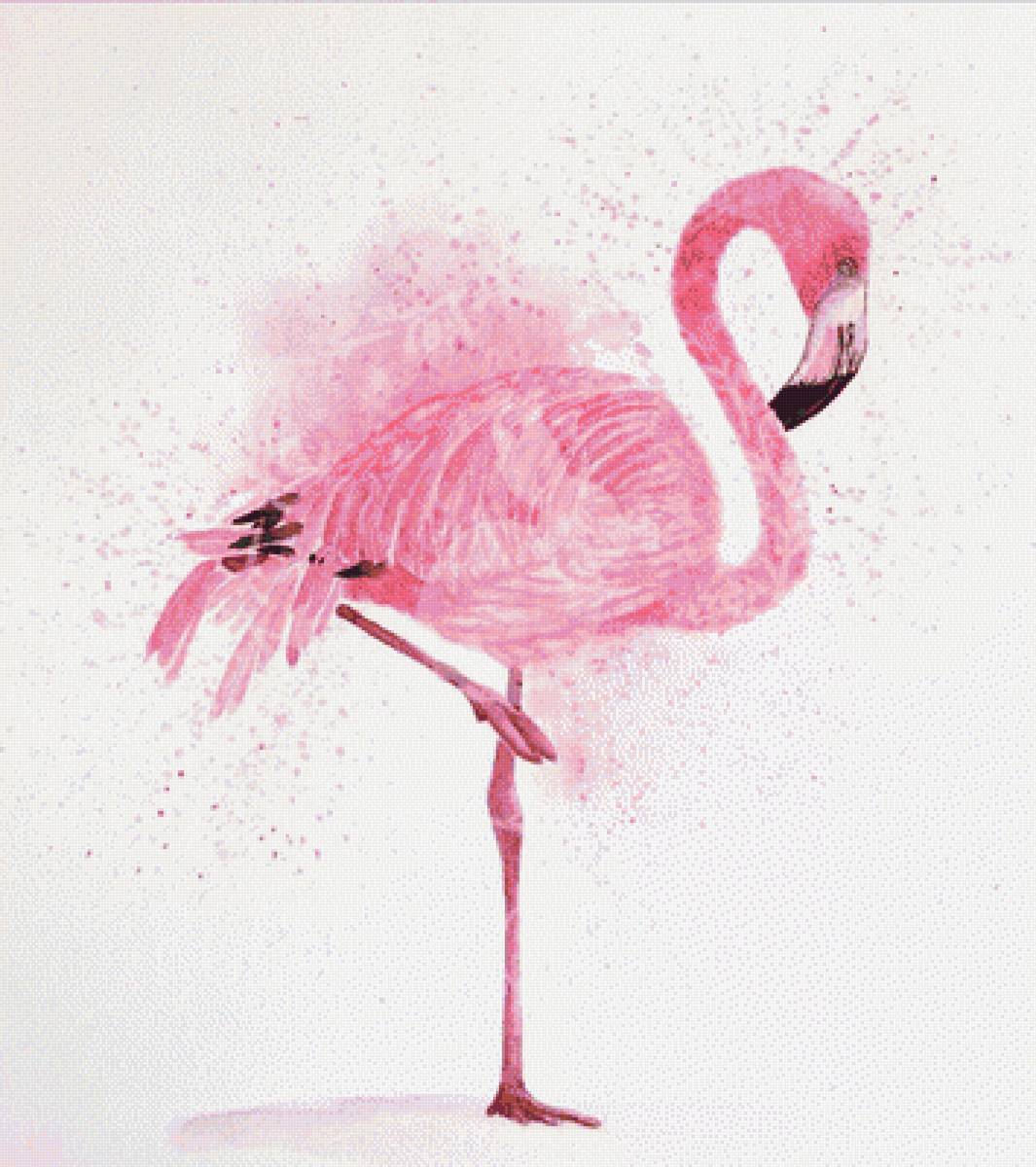 Фламинго - фламинго, акварель - предпросмотр